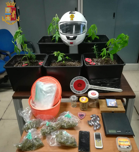Piantine di marijuana sul balcone, arrestato 41enne con precedenti a carico Piantine di marijuana sul balcone, arrestato 41enne con precedenti a carico