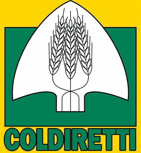 &quot;Per il lavoro agricolo serve bloccare l'innalzamento dell'età pensionabile&quot;