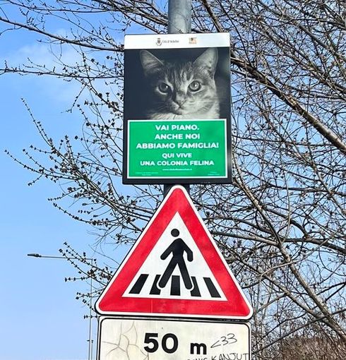 cartelli stradali nichelino