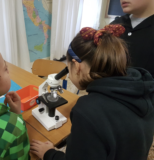 Non sprecare l'acqua: gli studenti delle primarie lo imparano attraverso il gioco