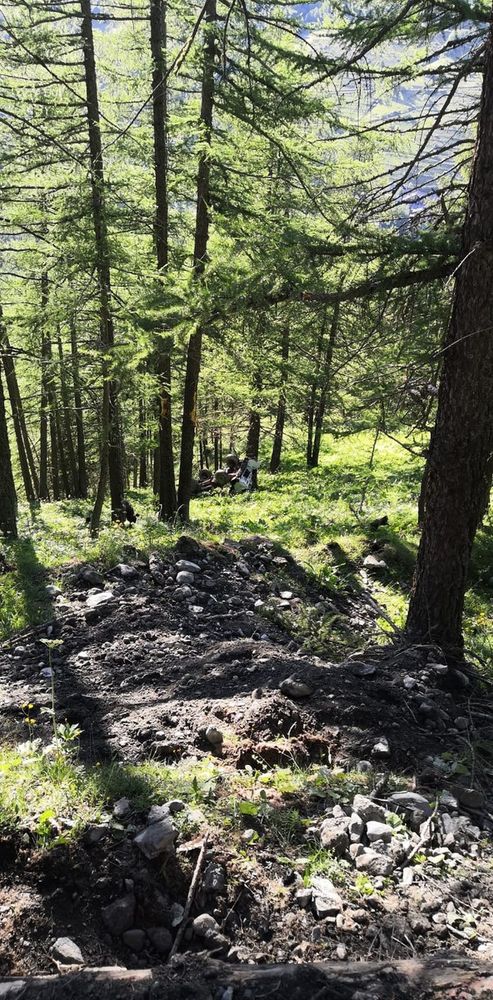 Pragelato, un camioncino si ribalta e cade in un dirupo: morto il conducente 35enne che stava lavorando alla messa in sicurezza della strada Pragelato, un camioncino si ribalta e cade in un dirupo: morto il conducente 35enne che stava lavorando alla messa in sicurezza della strada