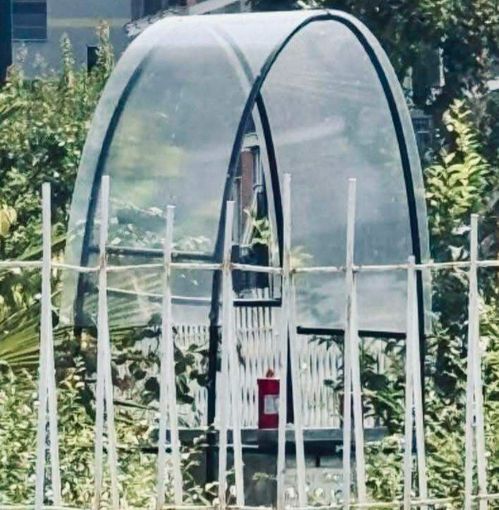 I ladri si sono portati via anche le madonnine I ladri si sono portati via anche le madonnine