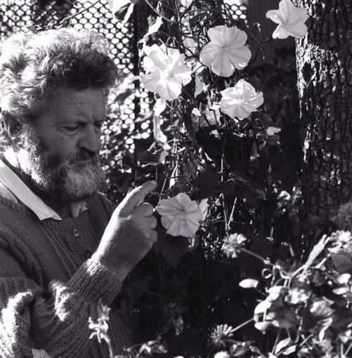 Nel 2025 ricorre il centenario dalla nascita di Libereso Guglielmi: programma di iniziative per il giardiniere di Calvino Nel 2025 ricorre il centenario dalla nascita di Libereso Guglielmi: programma di iniziative per il giardiniere di Calvino