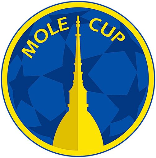 I licei scendono in campo: a Torino tutto pronto per la seconda edizione della Mole Cup I licei scendono in campo: a Torino tutto pronto per la seconda edizione della Mole Cup