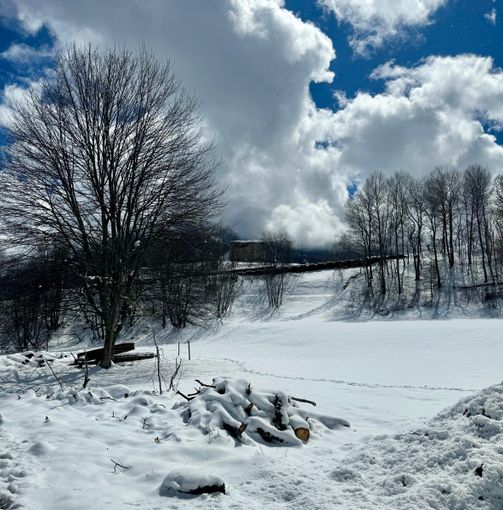 paesaggio con la neve