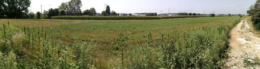 area vadò