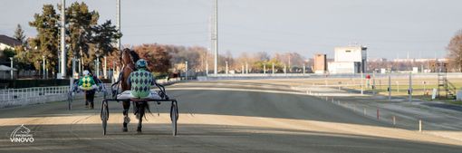 cavalli sulla pista di Vinovo cavalli sulla pista di Vinovo
