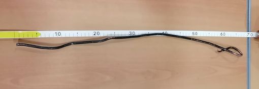 tondino di ferro appuntito sequestrato tondino di ferro appuntito sequestrato