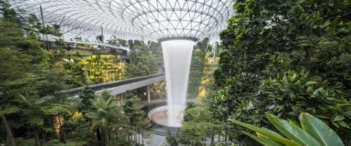 Al via CinemAmbiente, CreativAfrica e Evergreenfest: cosa fare a Torino fino a domenica 8 giugno