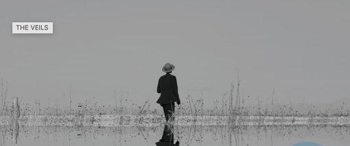 The Veils in concerto allo sPAZIO211 The Veils in concerto allo sPAZIO211