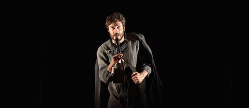 Tutti i viaggi di Napoleone a Torino