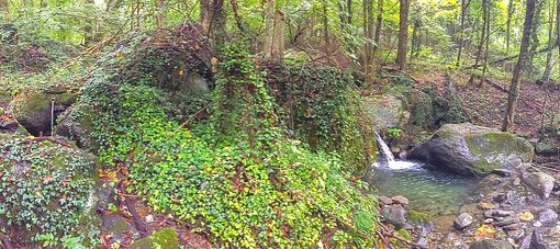 Cena Tomica a Condove: 8 ristoranti finanziano il recupero di una fonte alpina Cena Tomica a Condove: 8 ristoranti finanziano il recupero di una fonte alpina