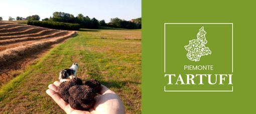Nasce Piemonte tartufi, il portale per gli amanti del tartufo 2.0