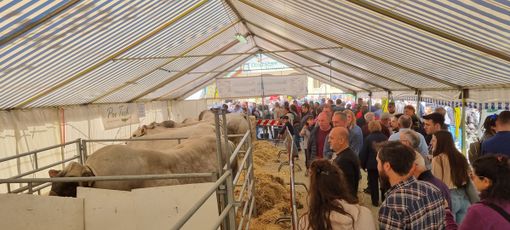 (Foto di repertorio)