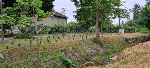 Il Fontanile di Santa Maria Il Fontanile di Santa Maria