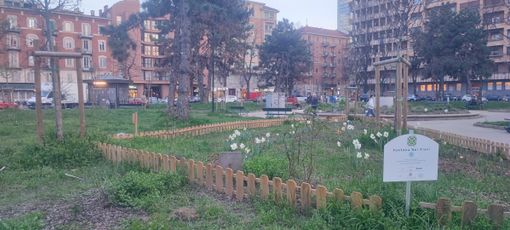 Piazza Benefica, da lunedì al via i lavori di riqualificazione Piazza Benefica, da lunedì al via i lavori di riqualificazione