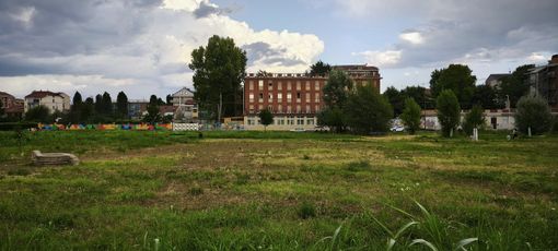 Parella: dopo un anno di cura dei cittadini, ecco l'area impollinatori