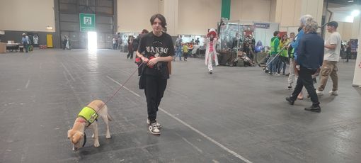 Nella confusione di Torino Comics con il cane di assistenza, la storia di Sofia: &quot;Senza Indi non sarebbe qui&quot;