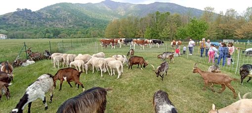 Fiera di San Giorgio a Caselette Fiera di San Giorgio a Caselette