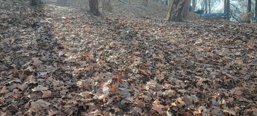 La salita del Monte dei Cappuccini è una discarica a cielo aperto