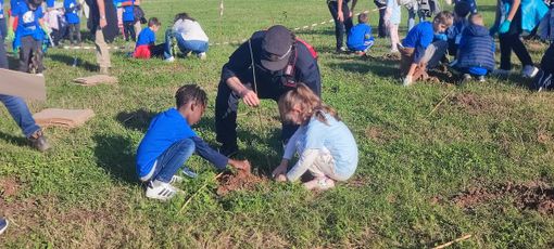 Al parco Colonnetti nato il bosco piantato dai bambini Al parco Colonnetti nato il bosco piantato dai bambini