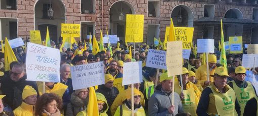 Gli agricoltori Coldiretti in piazza: "Sbloccate i pagamenti delle assicurazioni"