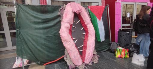 protesta femminista protesta femminista