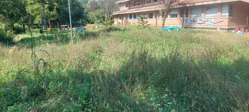 cortile scuola boncompagni cortile scuola boncompagni