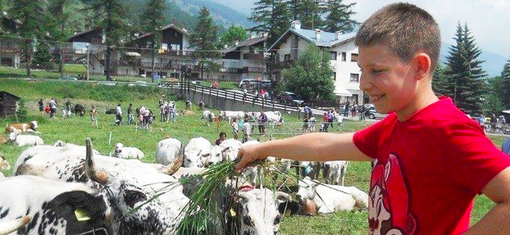 In foto, Lorenzo Greco In foto, Lorenzo Greco