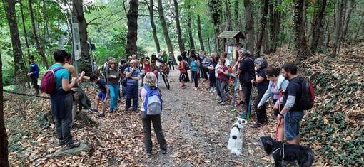 passeggiata nei boschi