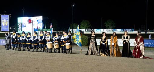 Moving Stills per Hippogorup Torinese Moving Stills per Hippogorup Torinese