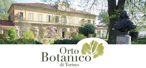 Da sabato 6 giugno riapre l'orto botanico di Torino, ecco orari e regole per il pubblico Da sabato 6 giugno riapre l'orto botanico di Torino, ecco orari e regole per il pubblico