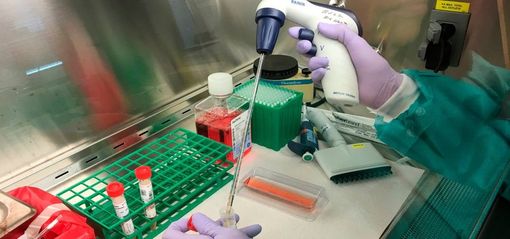 Webinar sul Covid-19 dell'Accademia di Medicina di Torino