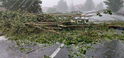 Maltempo, Coldiretti: &quot;La Regione definisca le procedure per ripristinare i terreni alluvionati&quot;