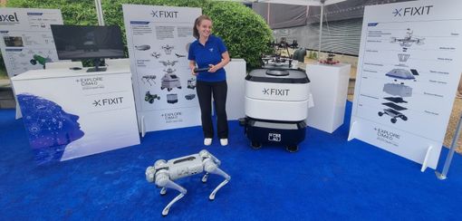 cane automa che esplora