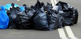 Bidoni sporchi e topi in Circoscrizione 2