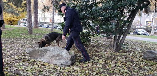 Droga, i carabinieri fermano due corrieri con 70mila euro di marijuana Droga, i carabinieri fermano due corrieri con 70mila euro di marijuana