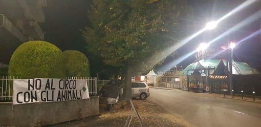 Ciriè, striscione a firma La Foresta che Avanza contro "il circo con gli animali"