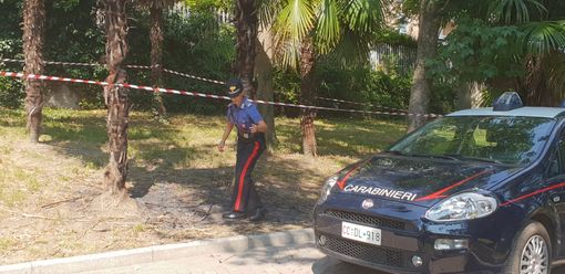 Rivoli, bruciano una palma nel parco e mettono il filmato su Instagram: individuati e denunciati Rivoli, bruciano una palma nel parco e mettono il filmato su Instagram: individuati e denunciati