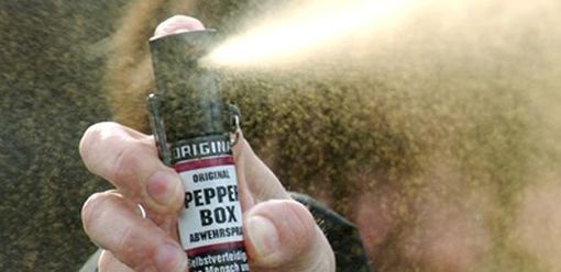 Spray urticante