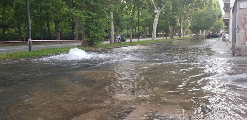 Si rompe una tubatura di fronte a Parco Michelotti: strada allagata in corso Casale Si rompe una tubatura di fronte a Parco Michelotti: strada allagata in corso Casale