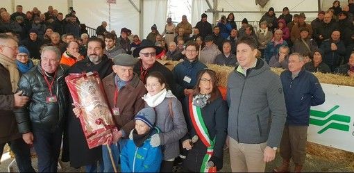 A Carrù torna la magia della Fiera Nazionale del Bue Grasso: ottanta i capi in mostra nella prima giornata di premiazione A Carrù torna la magia della Fiera Nazionale del Bue Grasso: ottanta i capi in mostra nella prima giornata di premiazione