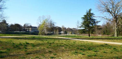 Un workshop per imparare a produrre velocemente nuovo suolo urbano