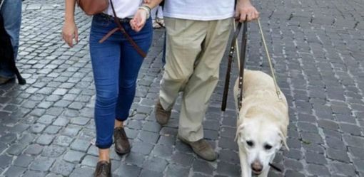 volontari accompagnatori dei ciechi volontari accompagnatori dei ciechi