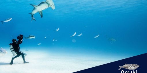 Foto di archivio Foto di archivio