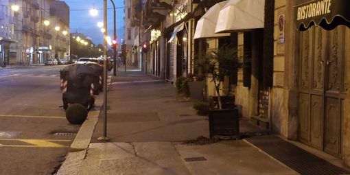 Torino, vandali in azione in corso Stati Uniti, sradicati piante ed alberi Torino, vandali in azione in corso Stati Uniti, sradicati piante ed alberi