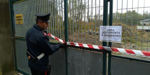 Oltre 30 cani rinchiusi in locali fatiscenti, tra escrementi e rifiuti: i carabinieri sequestrano una struttura abusiva [VIDEO]