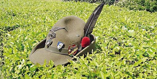 Adunata Alpini, treni straordinari sulle linee Torino – Asti – Alessandria - Genova e Asti – Acqui Terme Adunata Alpini, treni straordinari sulle linee Torino – Asti – Alessandria - Genova e Asti – Acqui Terme