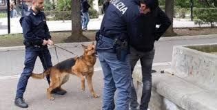 Arrestati dalla Polizia due pusher in via Sesia Arrestati dalla Polizia due pusher in via Sesia