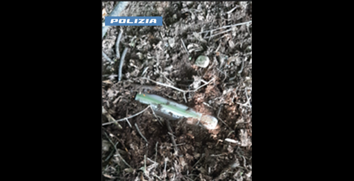 Nascondevano la droga nei boschi di Nichelino, arrestati per spaccio a Borgo Filadelfia